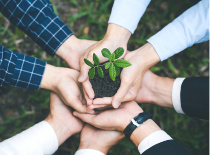 Corporate Social Responsibility (CSR) Advice