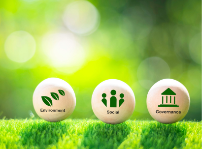 Environmental, Social and Governance (ESG) Advice